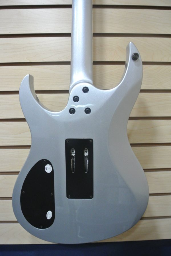 Washburn HM Series Silver